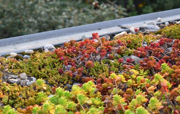 the cost of West Butsfield green roof installation