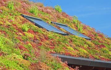 West Butsfield living roof systems